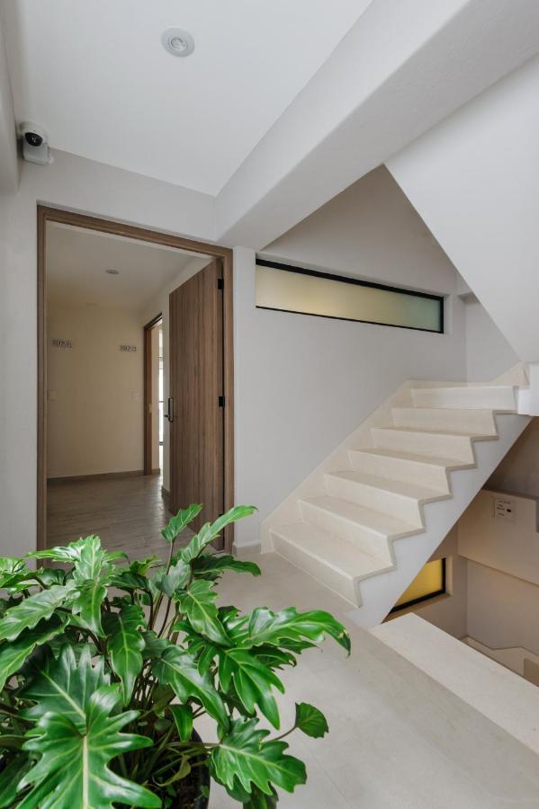 Choapan 28 - Lux Apartments In Condesa Ciudad de México Exterior foto